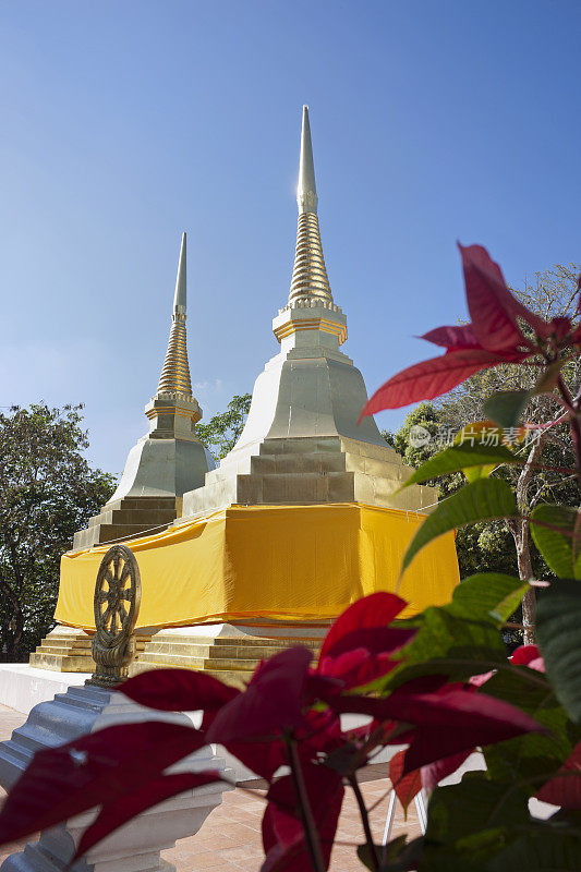 Wat Phra That Doi Tung。